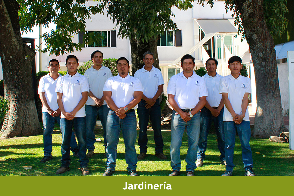 Jardineria